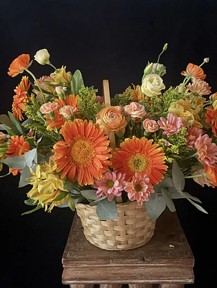 Canasto Miranda / Paleta naranjos y coral