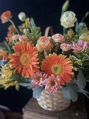 Canasto Miranda / Paleta naranjos y coral