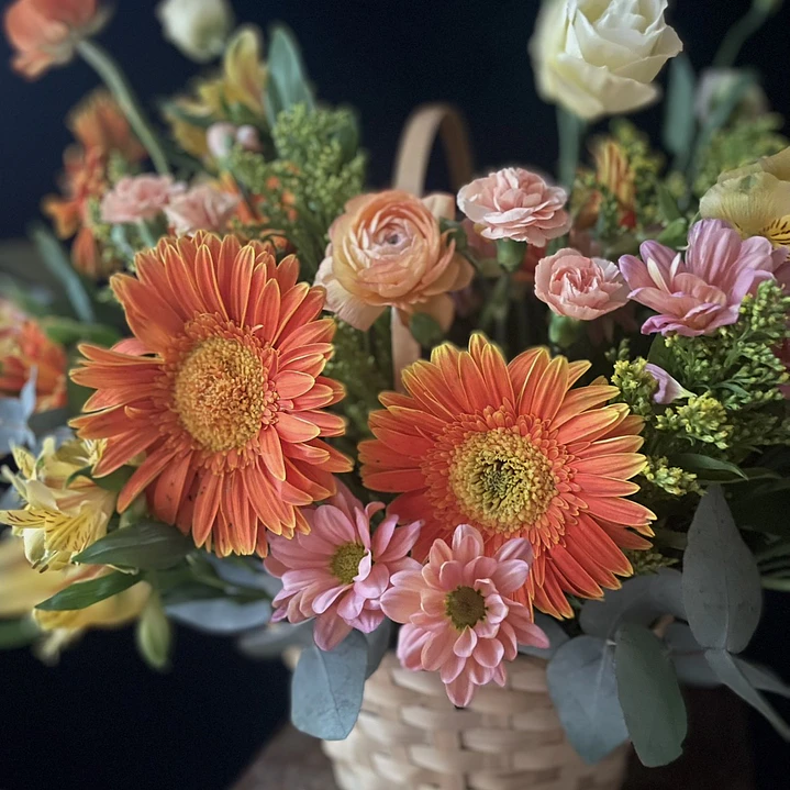 Canasto Miranda / Paleta naranjos y coral 2