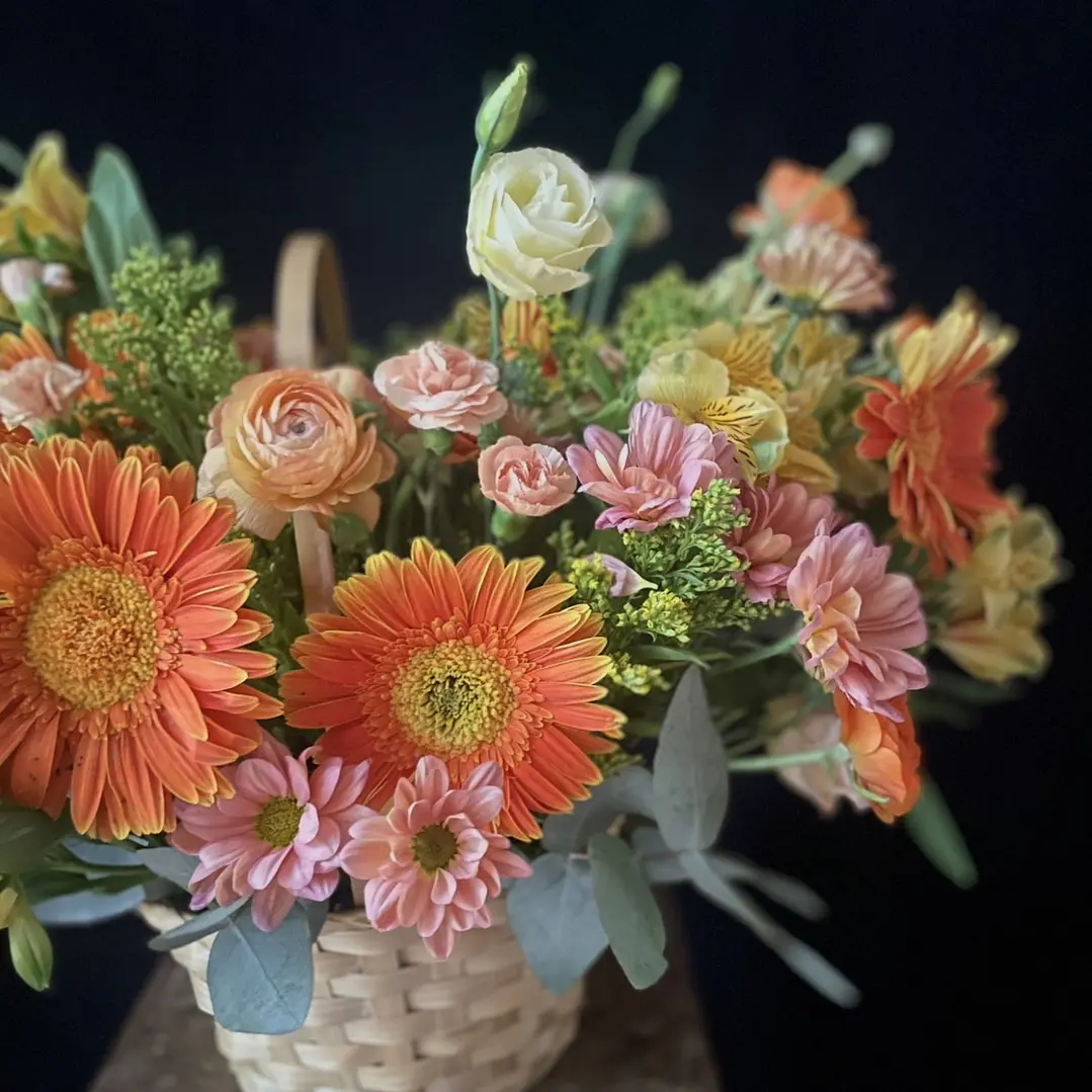 Canasto Miranda / Paleta naranjos y coral 3