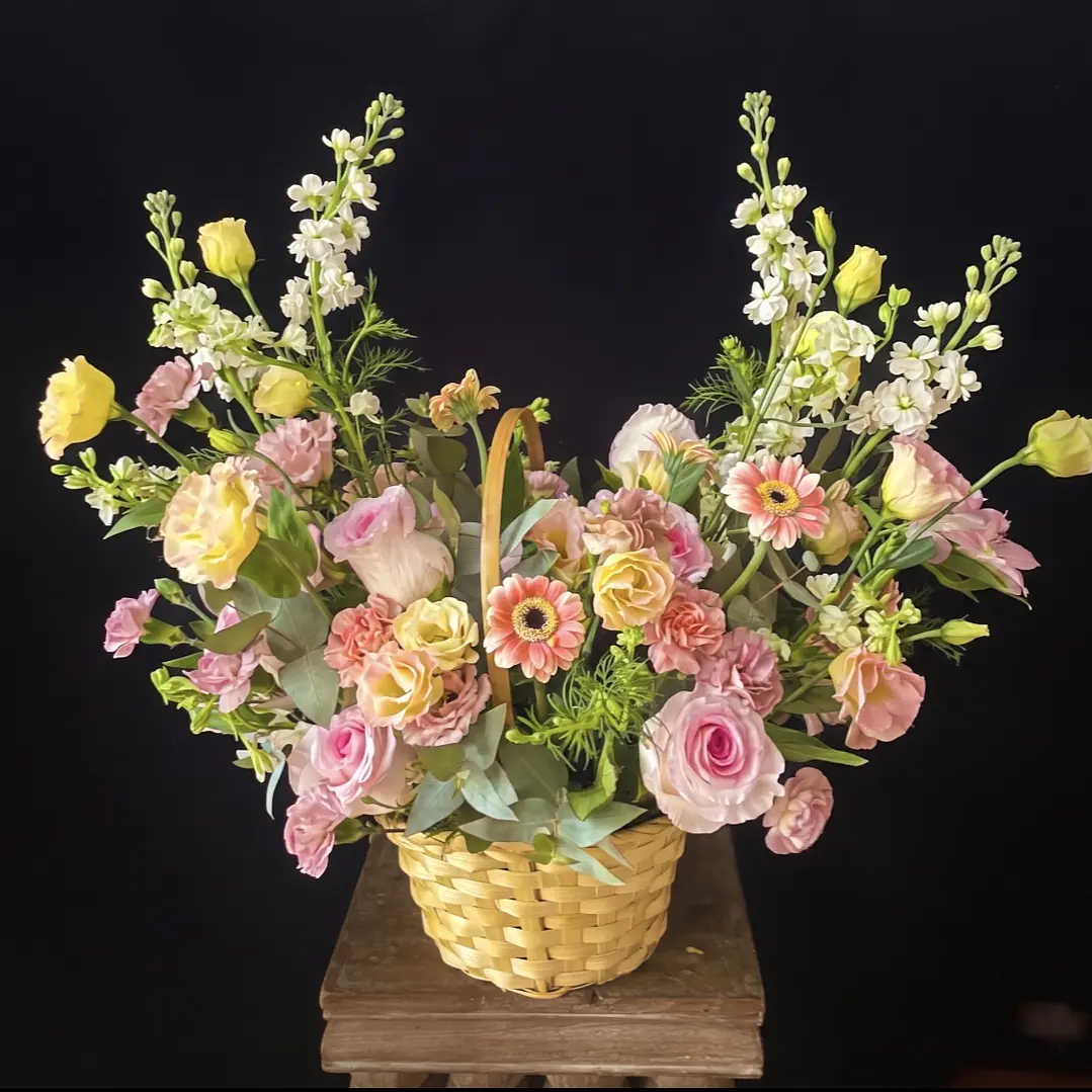 Canasto Ofelia / Paleta rosados y blanco 1