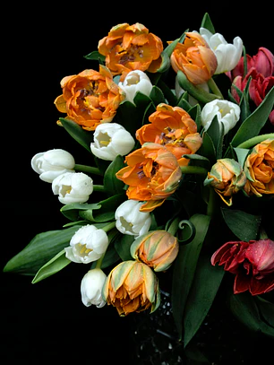 Ramo de tulipanes