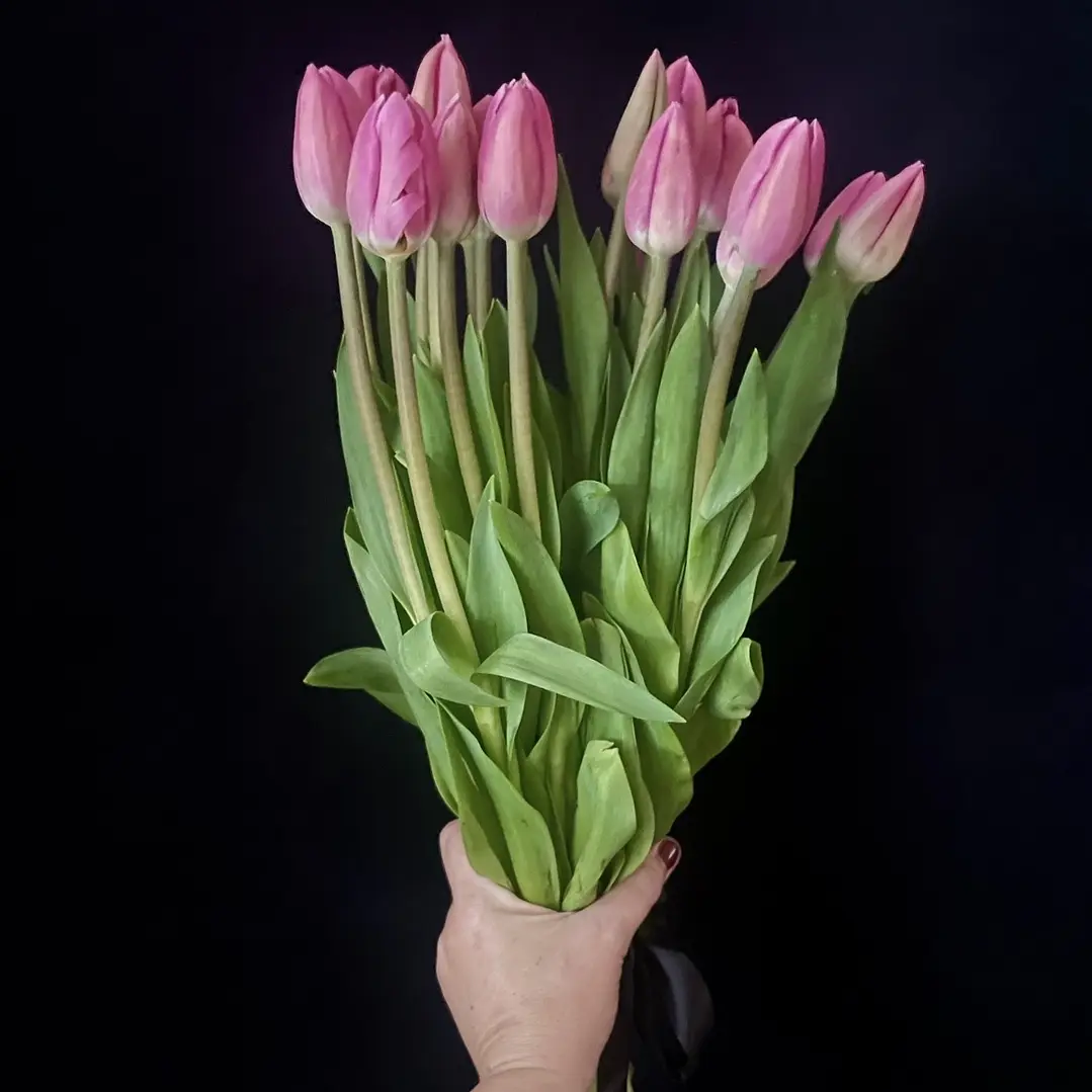 Ramo de tulipanes 2