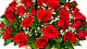 Bouquets