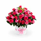 Caja con Rosas Rosadas - thumbnail 1