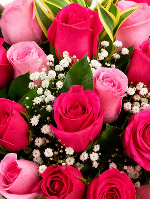 Caja con Rosas Rosadas
