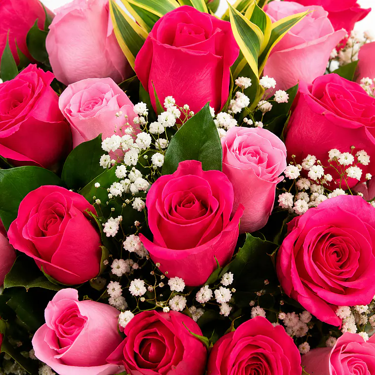 Caja con Rosas Rosadas 2
