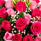 Caja con Rosas Rosadas - thumbnail 2