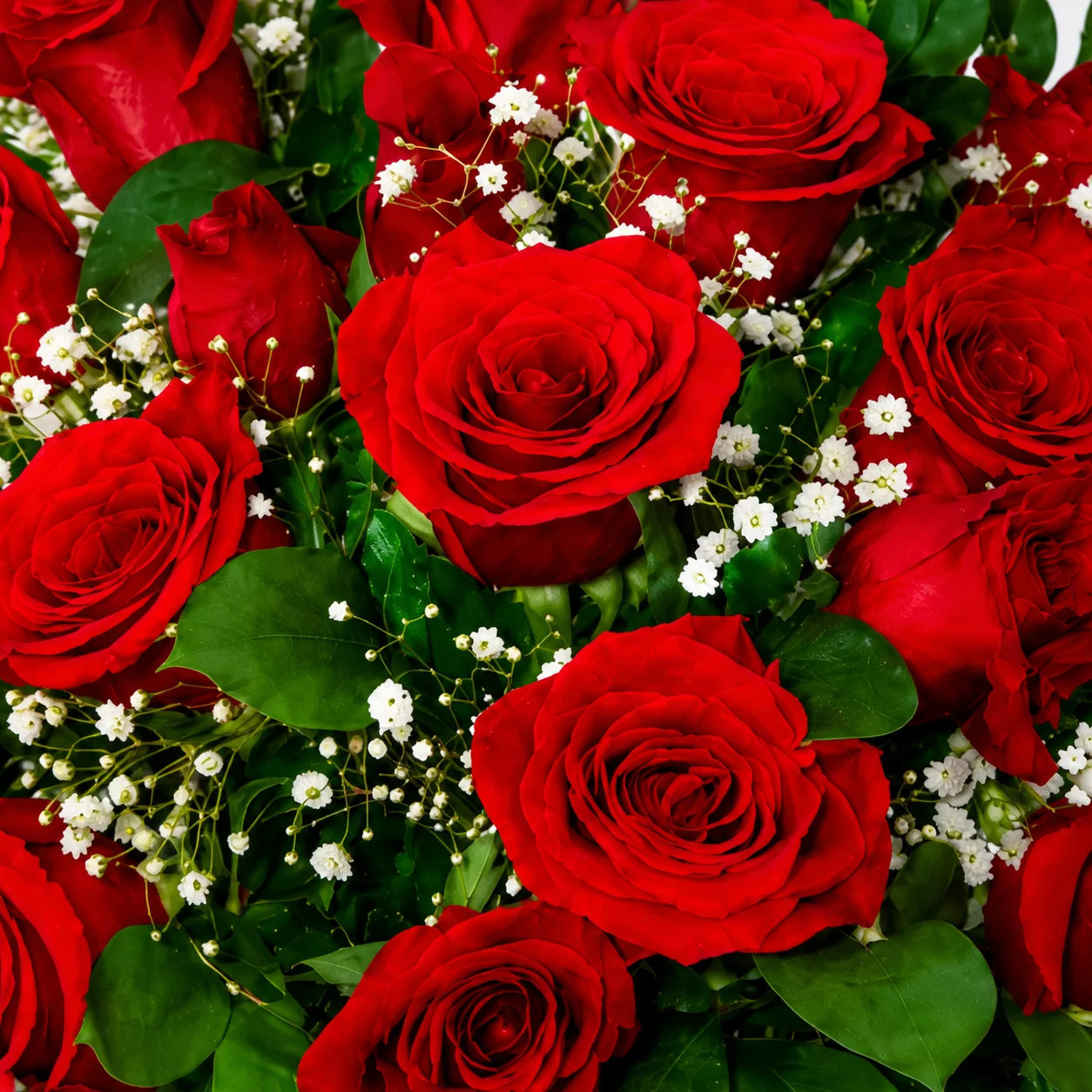Caja con Rosas Rojas 2