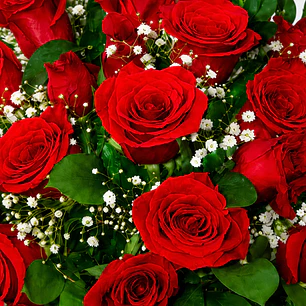 Caja con Rosas Rojas