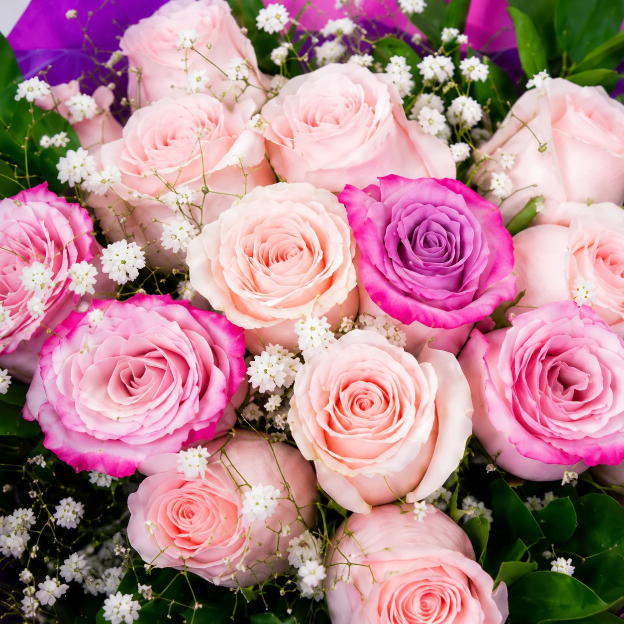 Bouquet Rosas Crema y Rosadas con Papel Morado 2