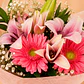 Bouquet Lirios y Gerberas Rosadas - Miniatura 2