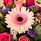 Caja con Gerbera Rosada, Rosas y Lirios - thumbnail 2