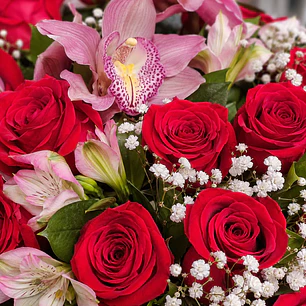 Caja con Orquídeas Rosadas y Rosas Rojas