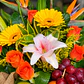 Frutero con Rosas, Lirios, Gerberas y Ave de Paraíso - thumbnail 2