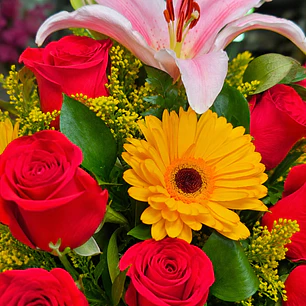 Caja con Rosas Rojas, Lirios y Gerberas Amarillas