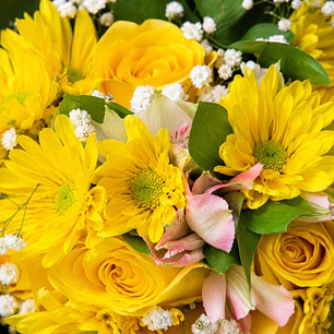 Bouquet Margaritas Amarillas y Torta de Chocolate