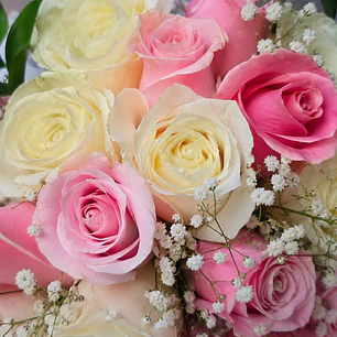 Bouquet Rosas Crema y Rosadas y Torta de Chocolate