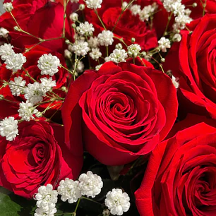 Bouquet of Red Roses