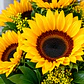 Caja con Girasoles - thumbnail 2