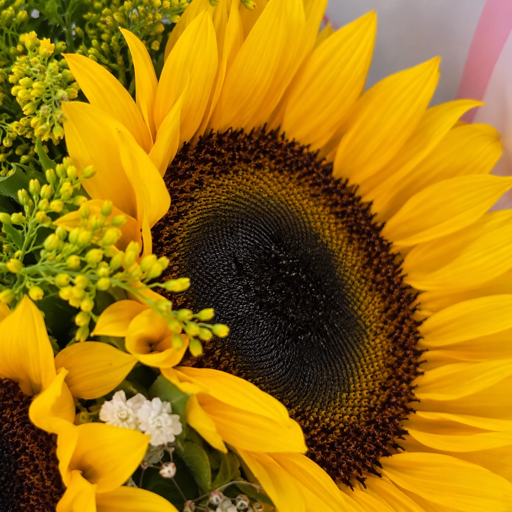 Bouquet Girasoles x3 2