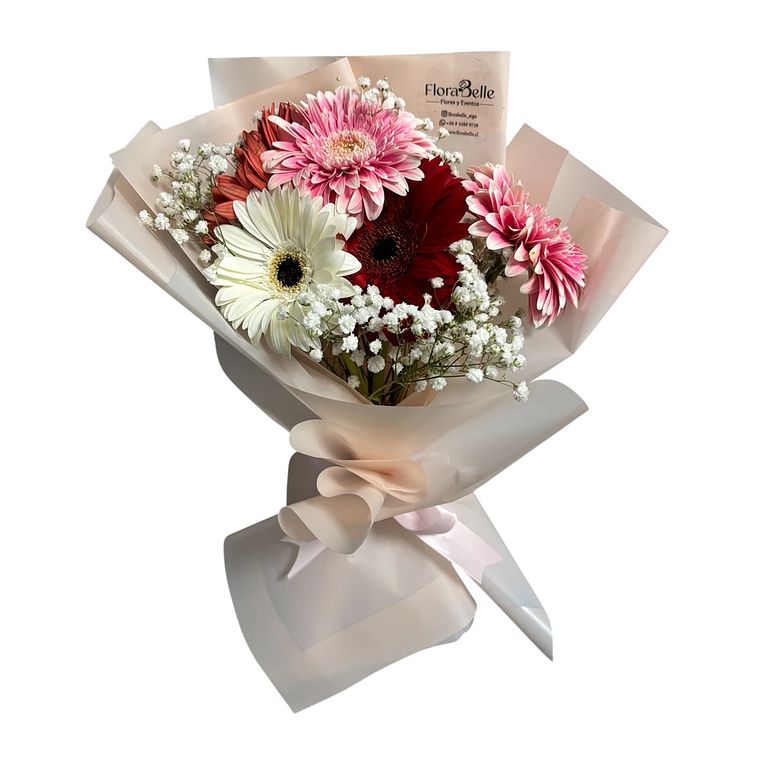 Ramo de Gerberas Rosadas y Rojas con Despacho Hoy | Florabelle 1