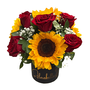 Box de Girasoles y Rosas Rojas con Despacho Hoy en Santiago | Florabelle