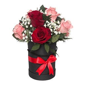 Box de Graduación con Rosas Rojas y Baileys con Despacho Hoy | Florabelle