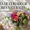 Guía Experta Florabelle-Como Cuidar tus flores naturales para que duren más