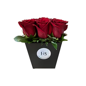 Box de 9 Rosas Rojas Premium