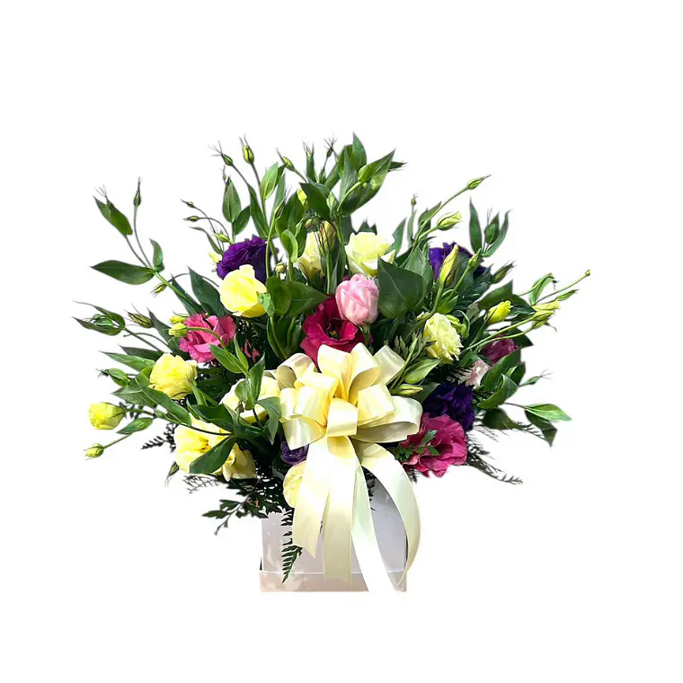  Box de Lisianthus Mix Premium  1