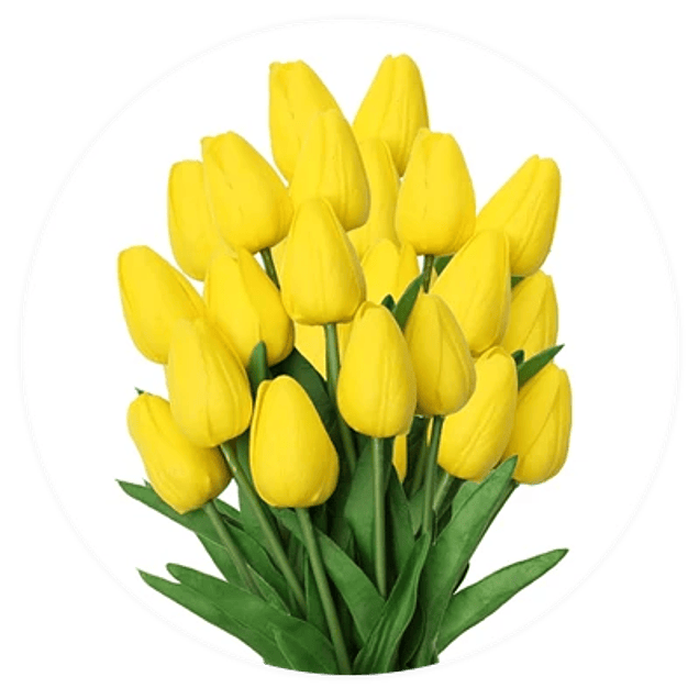 Ramos de Tulipanes a domicilio: Venta de flores frescas en Florabelle