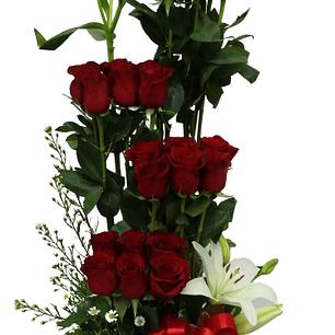 Paralelo de Rosas rojas y Liliums