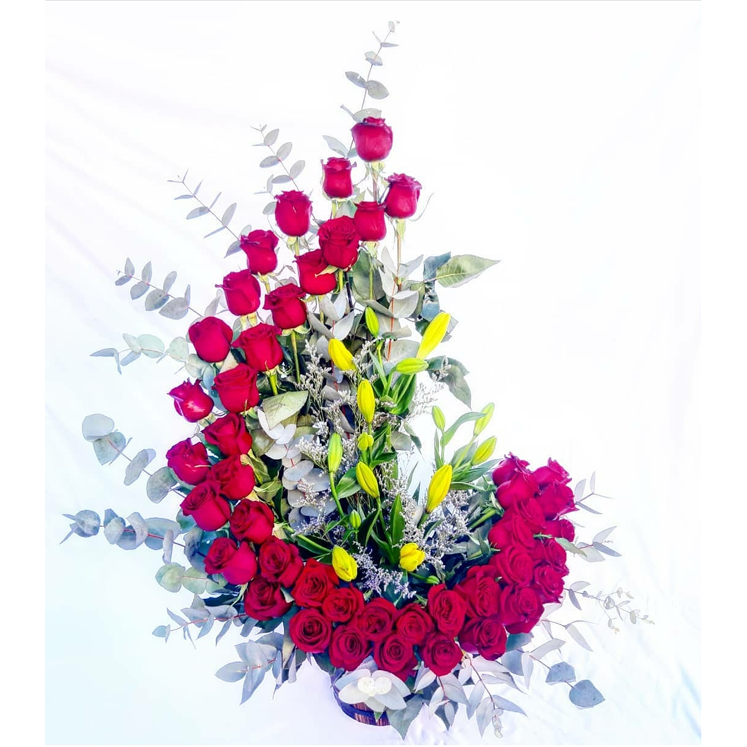 Caracola de 44 rosas rojas  1