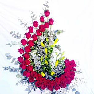 Caracola de 44 rosas rojas 