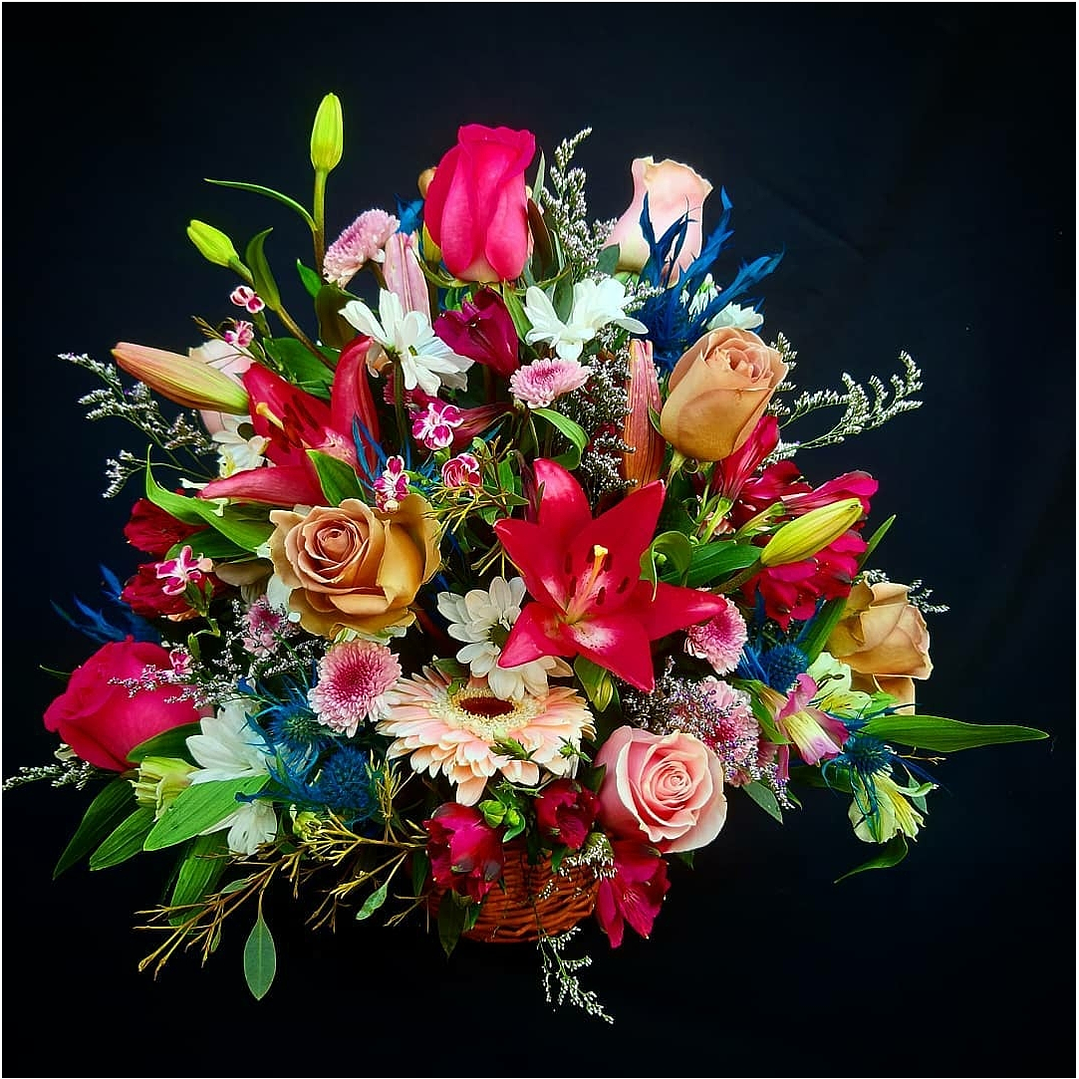 Cesta Special girl 1