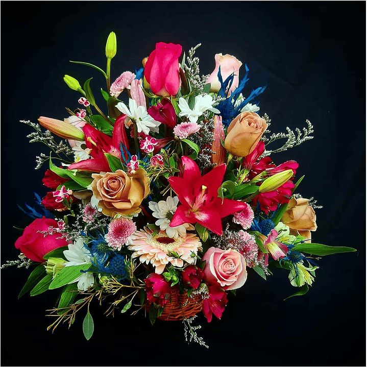 Cesta Special girl 1