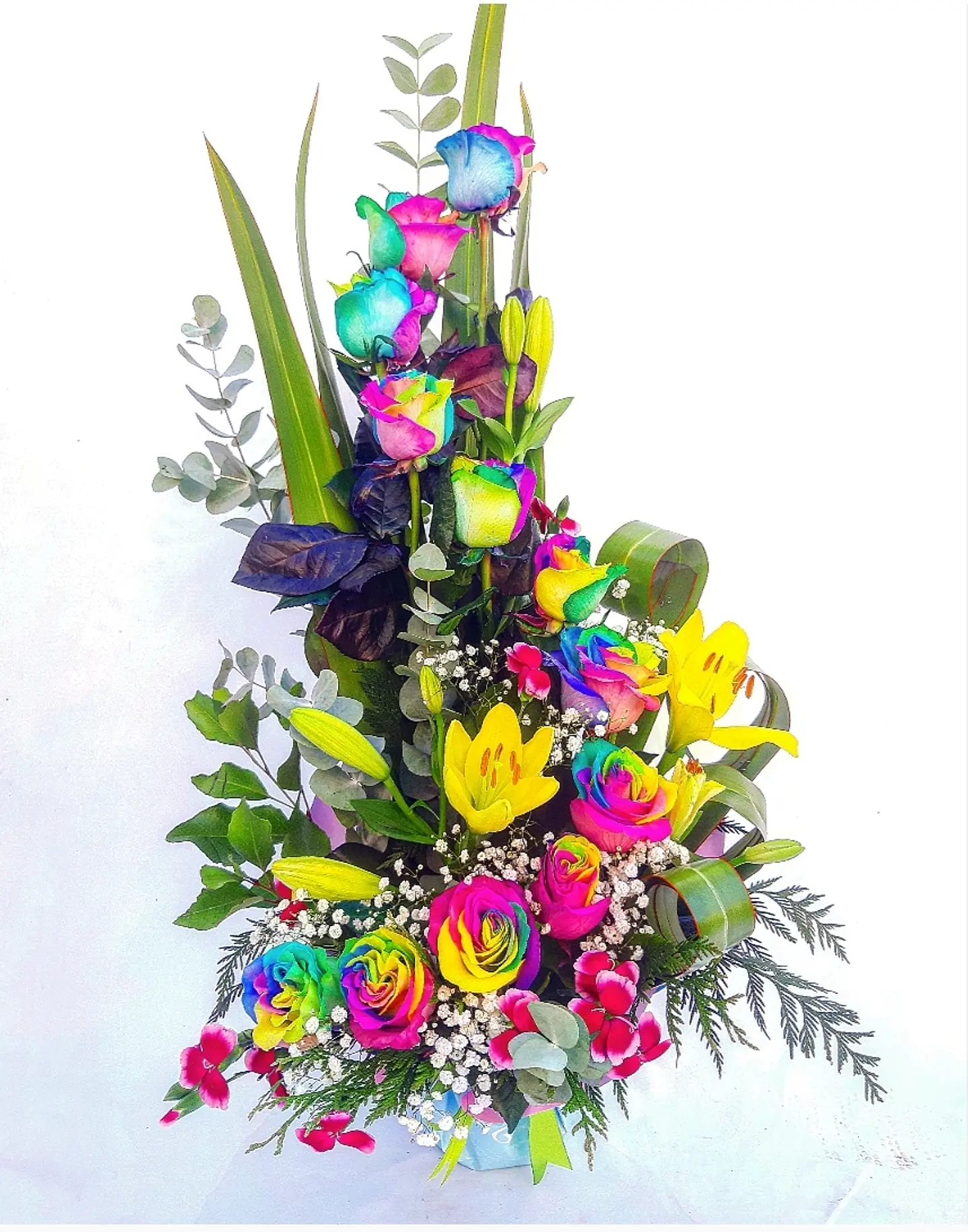 Espiral de Rosas Arcoíris 1