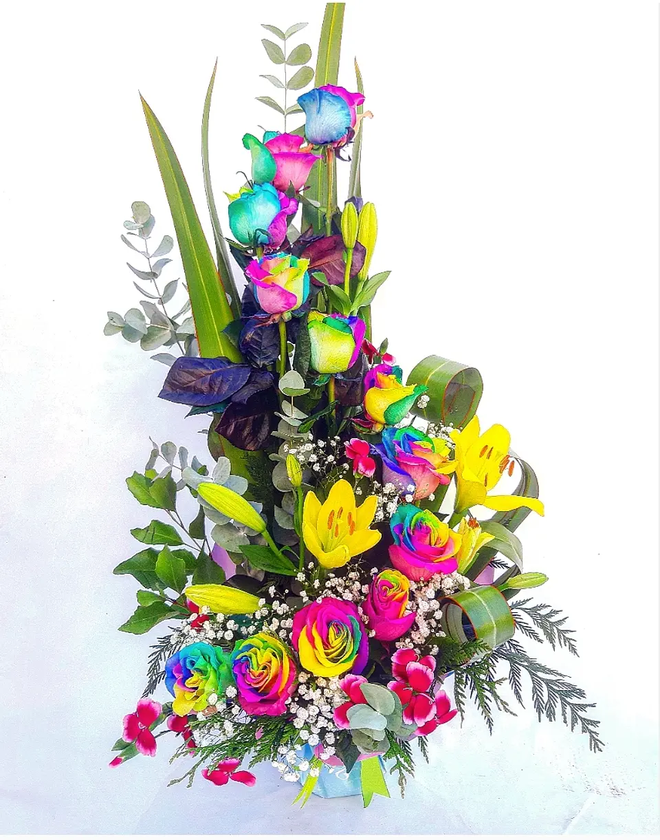 Espiral de Rosas Arcoíris 1