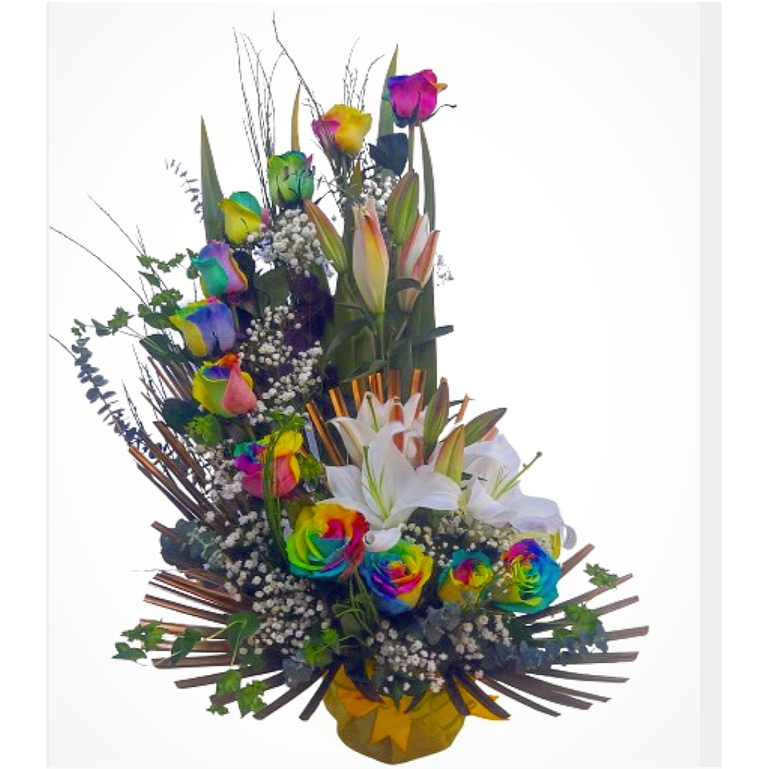 Caracol de la alegría  1