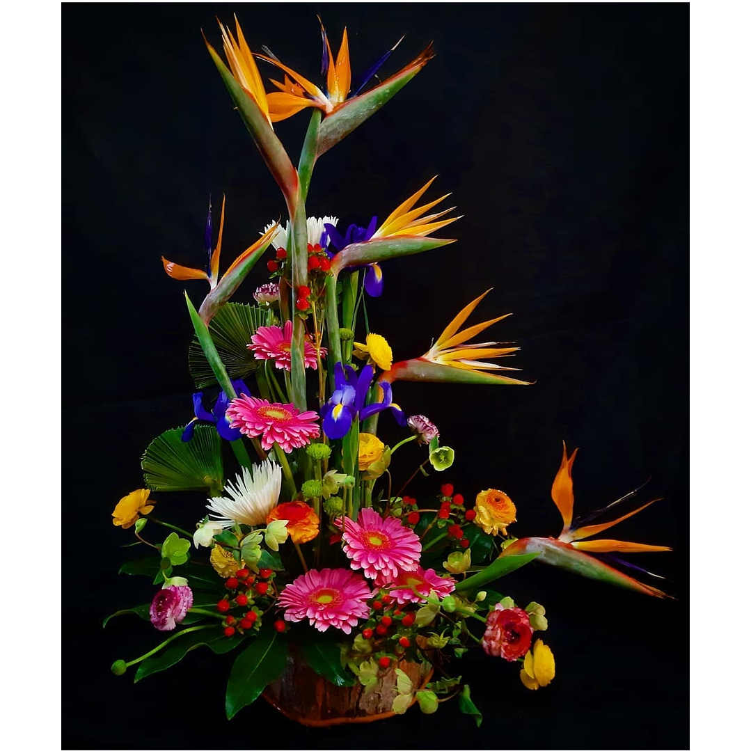 Arreglo decorativo de aves del paraíso  1