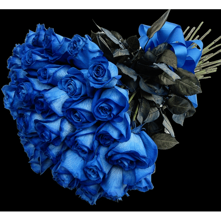 Lovely blue rose 1