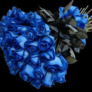 Lovely blue rose