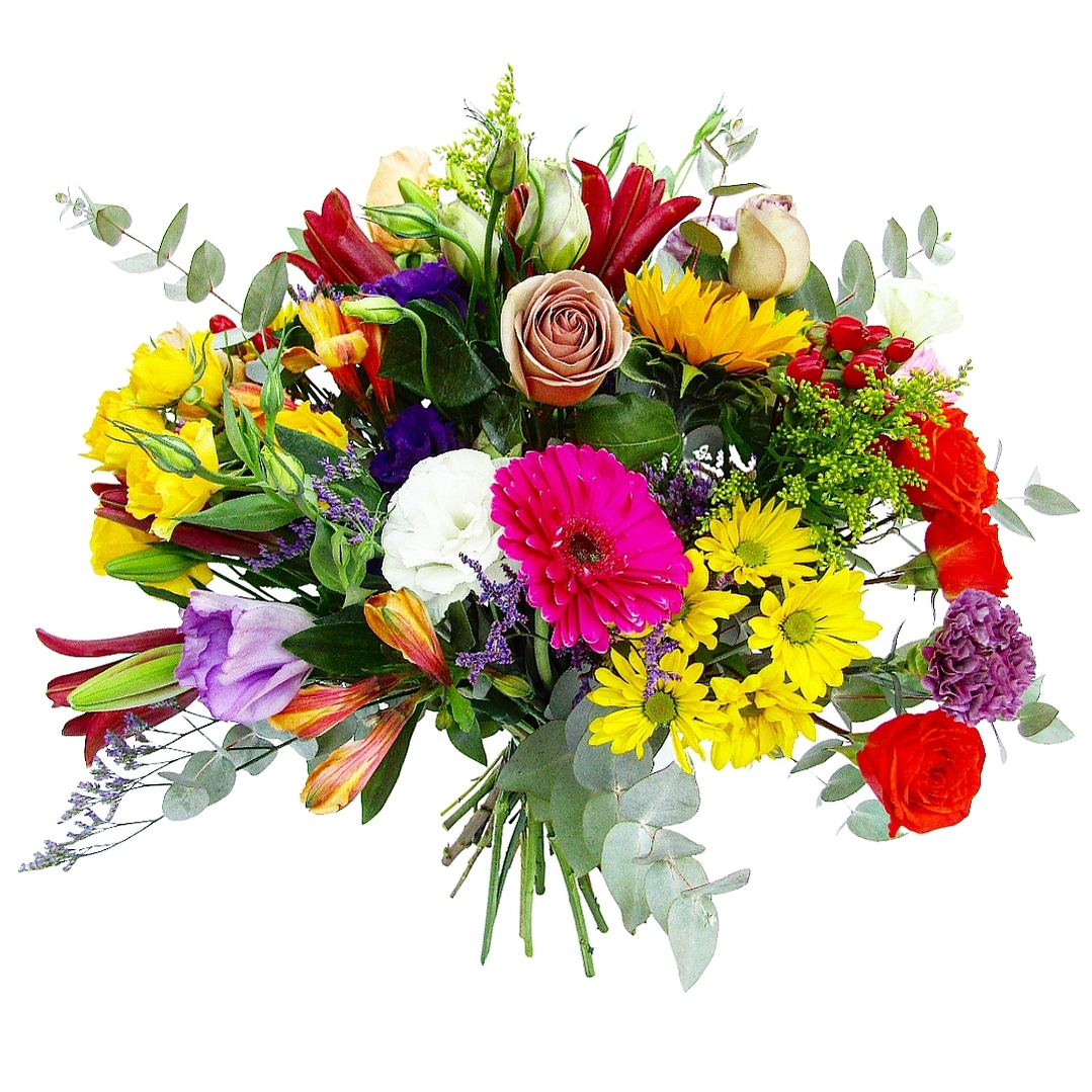 Ramo de la primavera  1