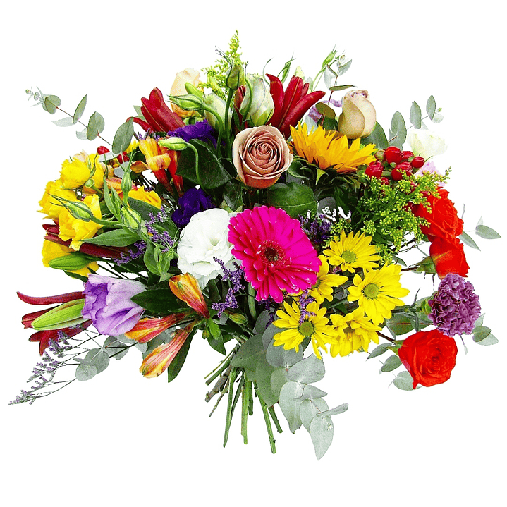 Ramo de la primavera  1