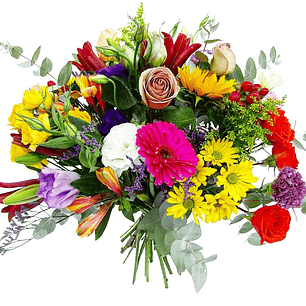 Ramo de la primavera 