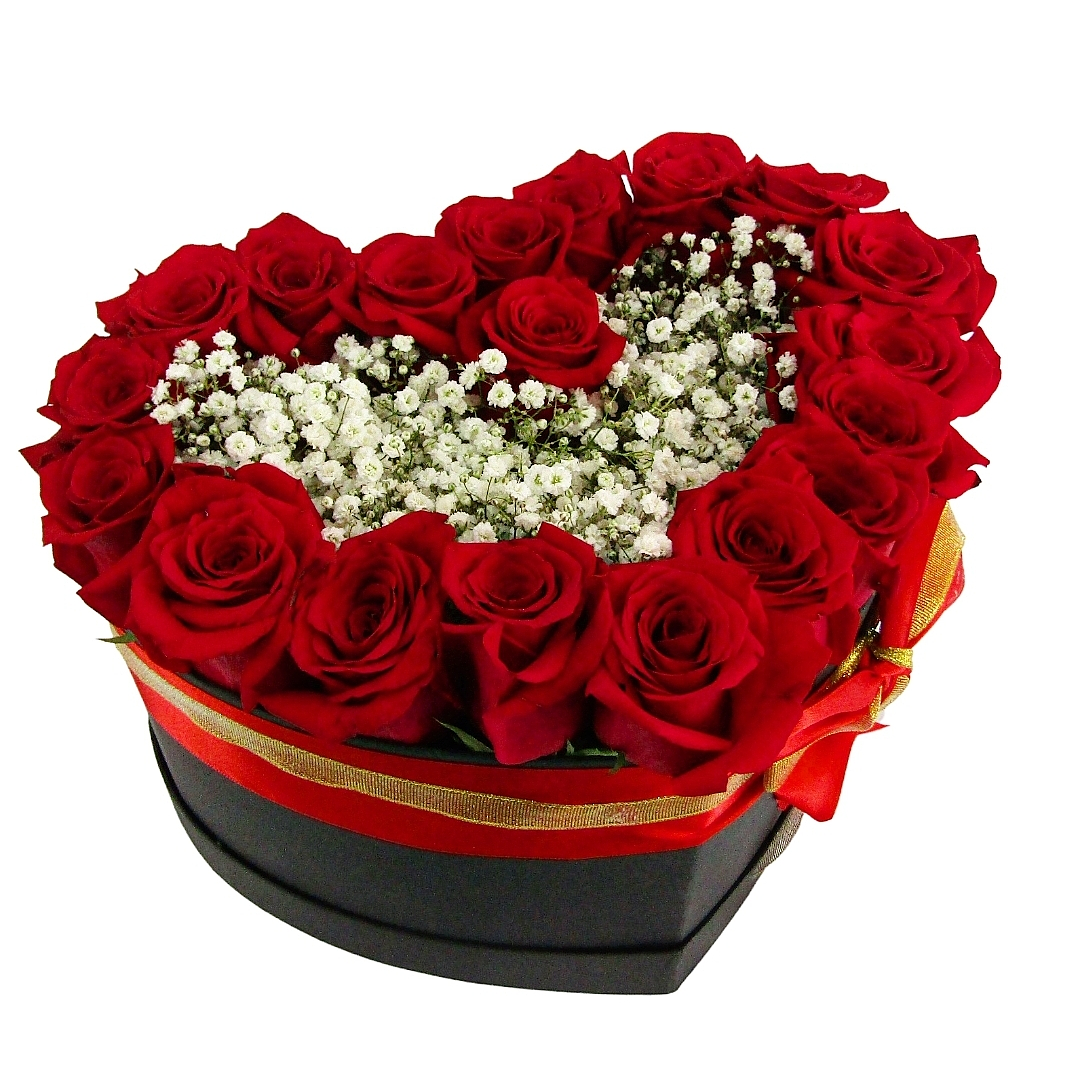 Corazón de rosas rojas y paniculata  1