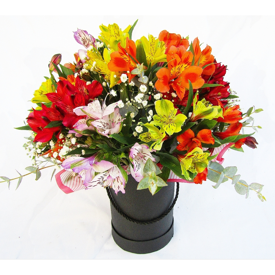 Box negro de Alstroemerias Importadas 1