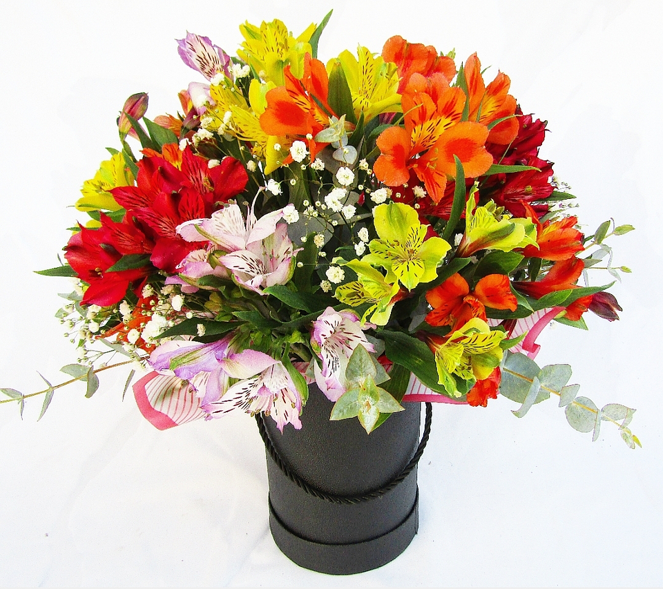 Box negro de Alstroemerias Importadas 1