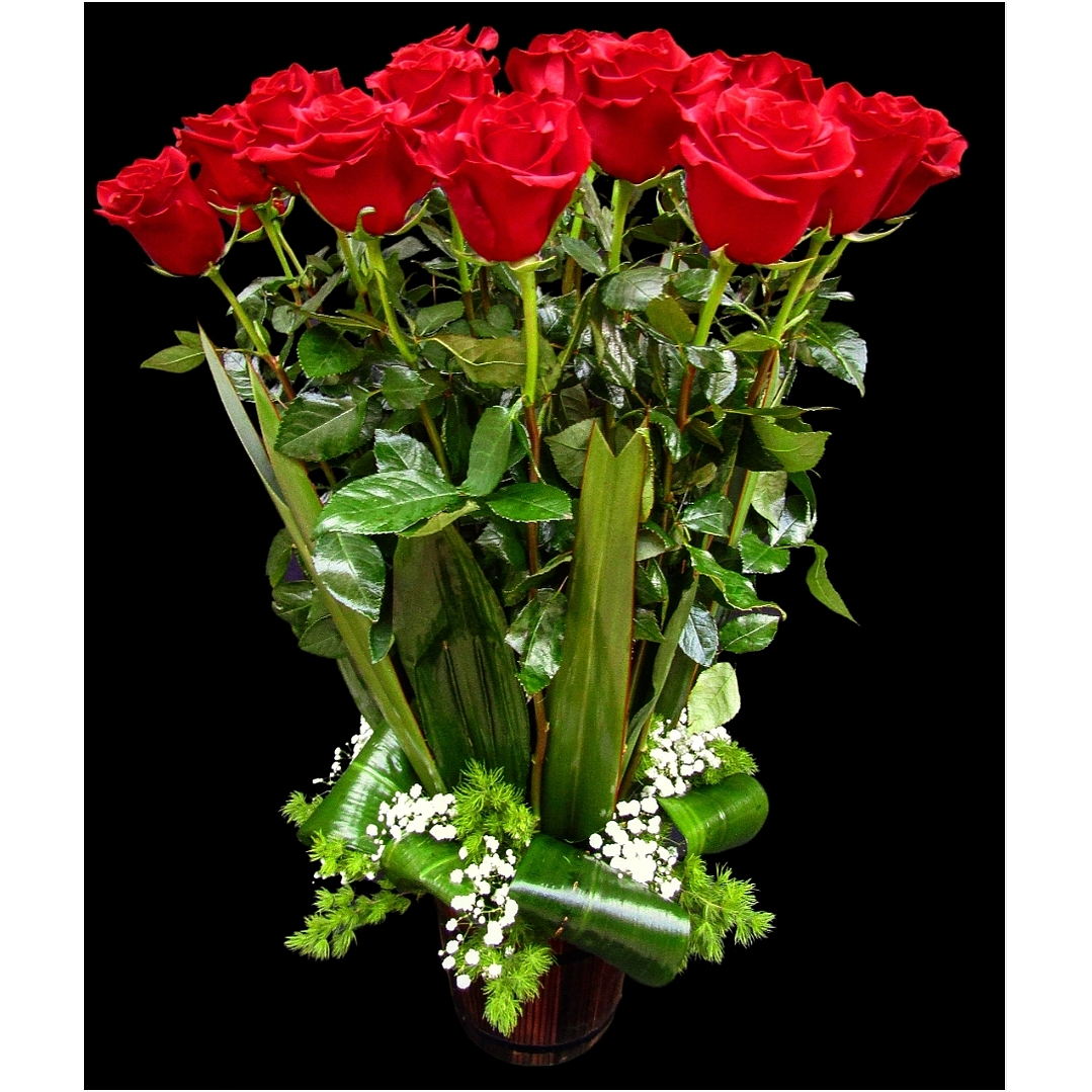 Fardo de 24 rosas rojas  1